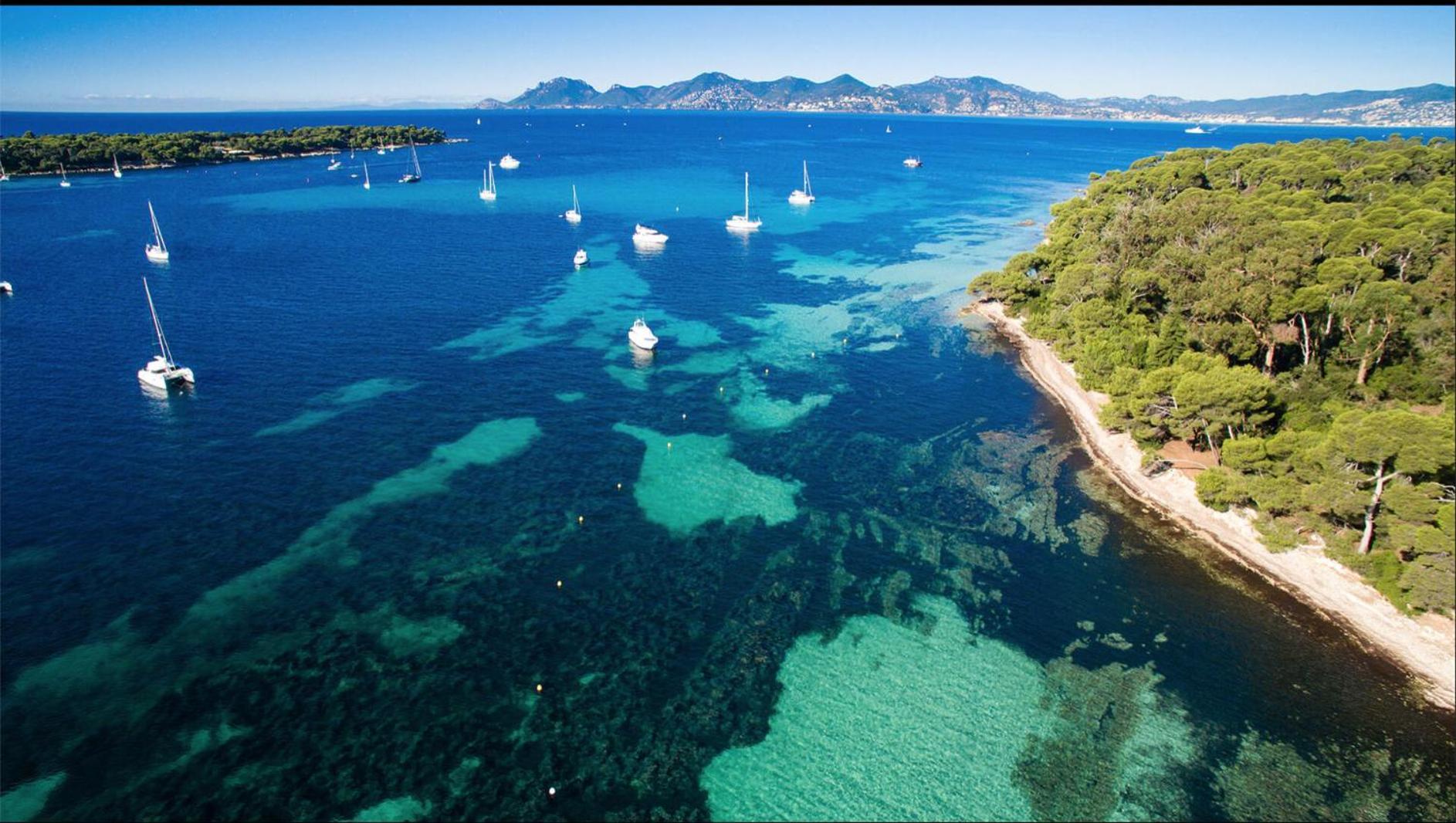 Le Bristol Lägenhet Cannes Exteriör bild